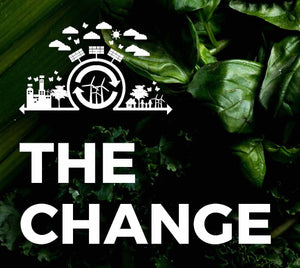 BIO RAW supports clean, green electricity with Bullfrog Power®