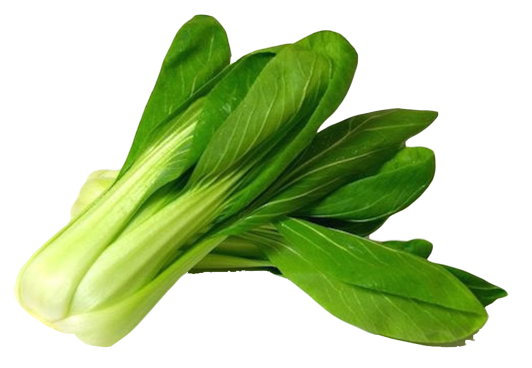 Bok Choy