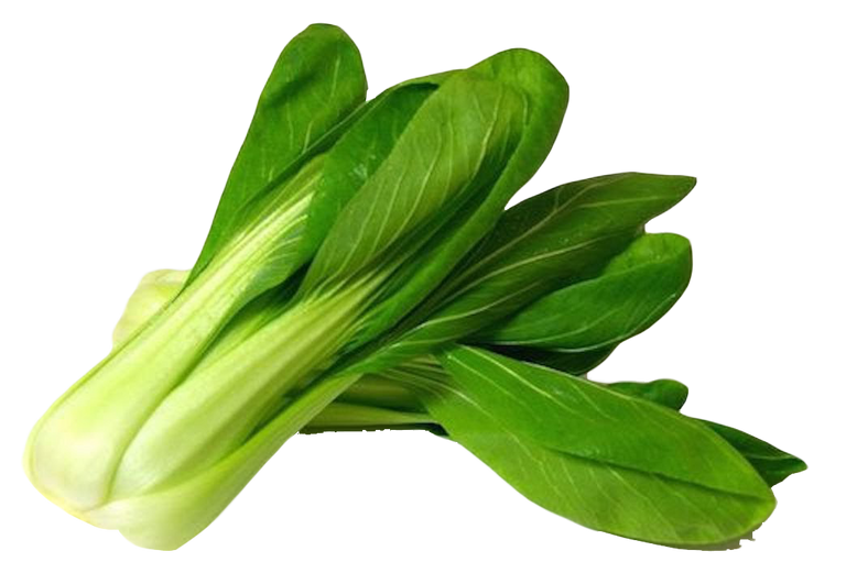 Bok Choy
